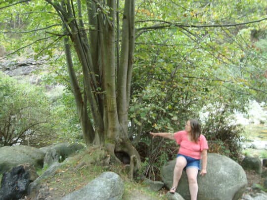 Een nieuwe weg inslaan Een nieuwe weg inslaan